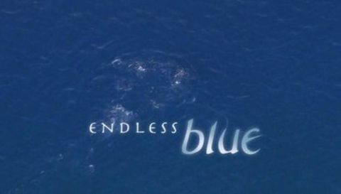 Endless Blue